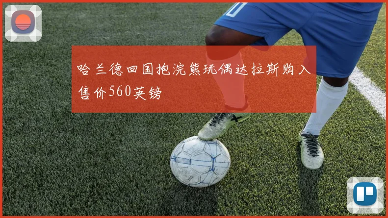 哈兰德回国抱浣熊玩偶达拉斯购入售价560英镑