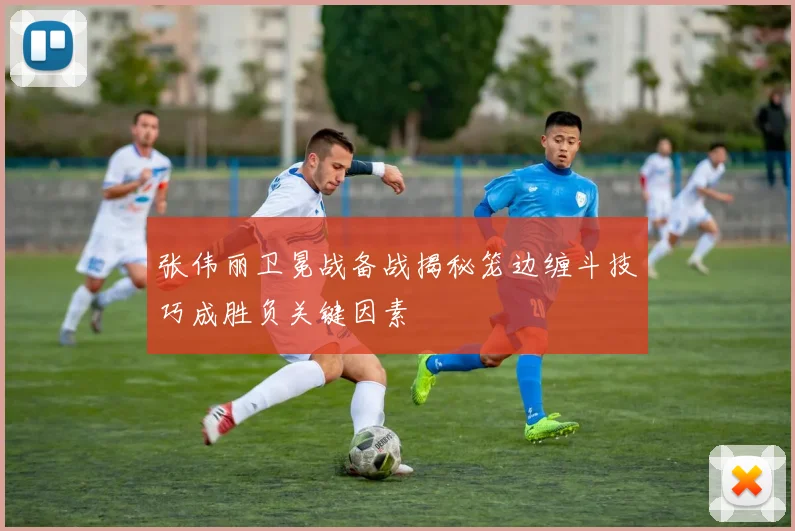 张伟丽卫冕战备战揭秘笼边缠斗技巧成胜负关键因素