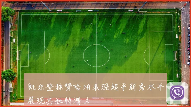 凯尔登称赞哈珀表现超乎新秀水平展现其独特潜力