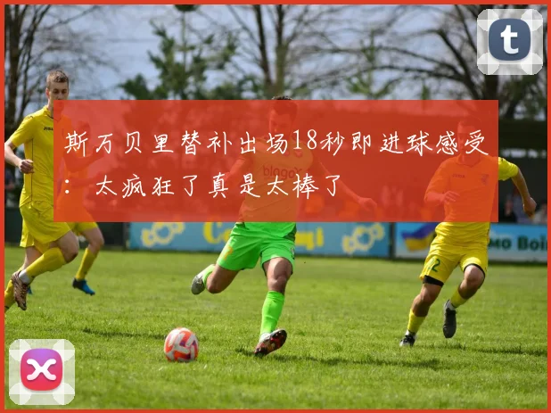 斯万贝里替补出场18秒即进球感受：太疯狂了真是太棒了