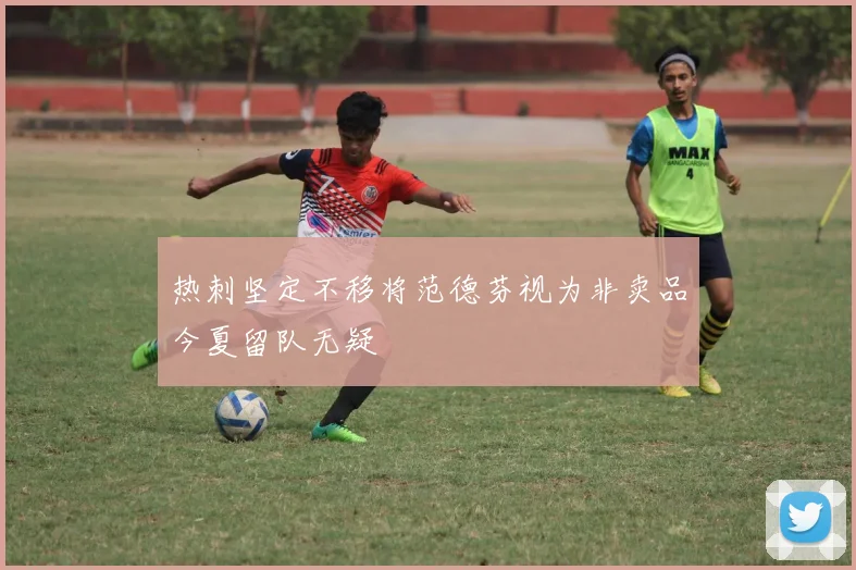 热刺坚定不移将范德芬视为非卖品今夏留队无疑